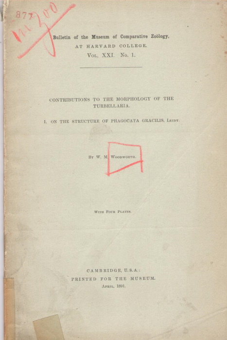 Woodworth, W.M. - Contributions to the Morphology of the Turbellaria. I. On the Structure of Phagocata gracilis, Leidy