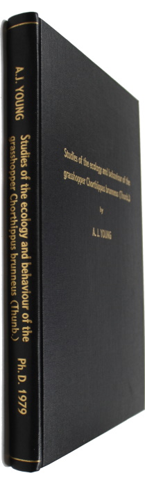 Young, A.J. - Studies of the Ecology and Behaviour of the Grasshopper Chorthippus brunneus  (Thunb.)