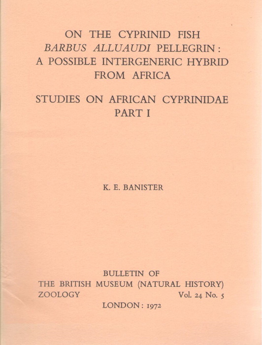 Banister, K.E. - On the cyprinid Fish <i>Barbus alluaudi</i> Pellegrin: A possible intergeneric hybrid from Africa. Studies on African Cyprinidae Pt. 1