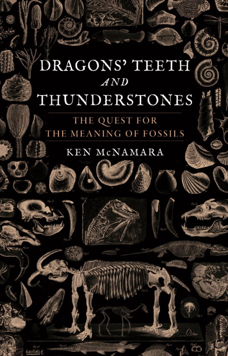 McNamara, K.J. - Dragons' Teeth and Thunderstones: The Quest for the Meaning of Fossils