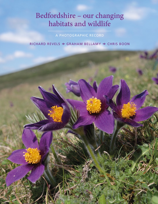 Revels, R.; Bellamy, G.; Boon, C. - Bedfordshire - our changing habitats and wildlife: a photographic record