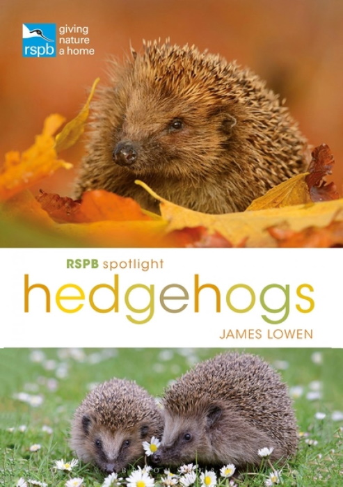 Lowen, J. - RSPB Spotlight Hedgehogs