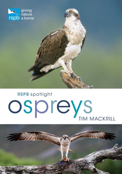 Mackrill, T. - RSPB Spotlight Ospreys