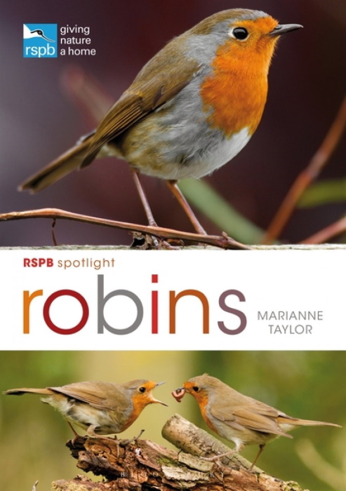 Taylor, M. - RSPB Spotlight Robins