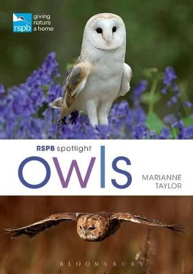 Taylor, M. - RSPB Spotlight Owls