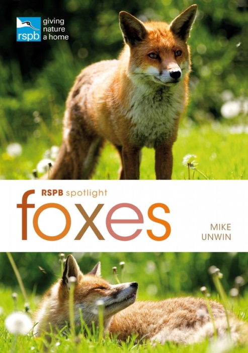 Unwin, M. - RSPB Spotlight Foxes