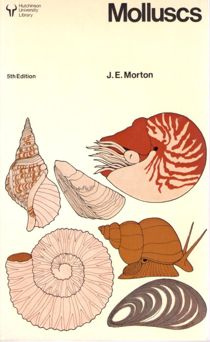 Morton, J.E. - Molluscs
