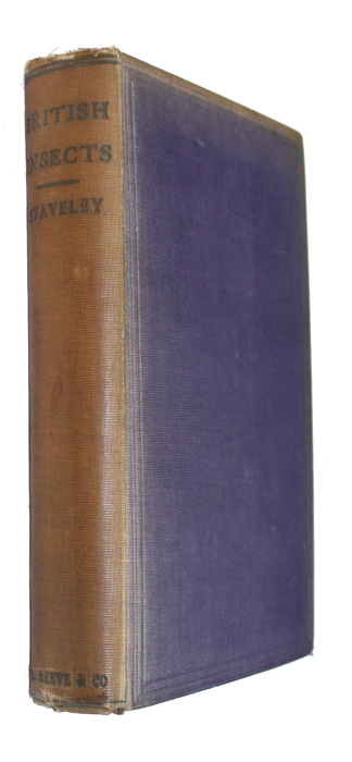 Staveley, E.F. - British Insects: A Familiar Description of the Form, Structure, Habits, and Transformations of Insects