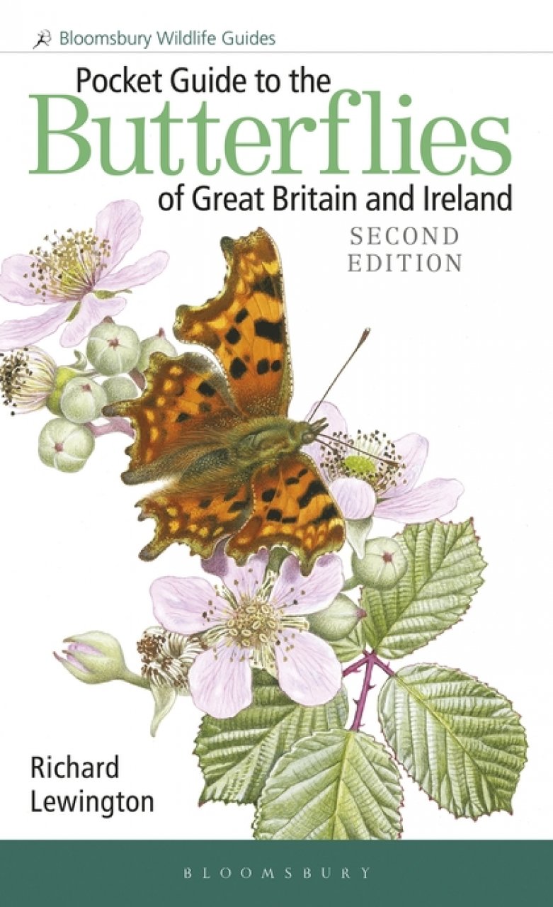 Lewington, R. - Pocket Guide to Butterflies of Great Britain and Ireland