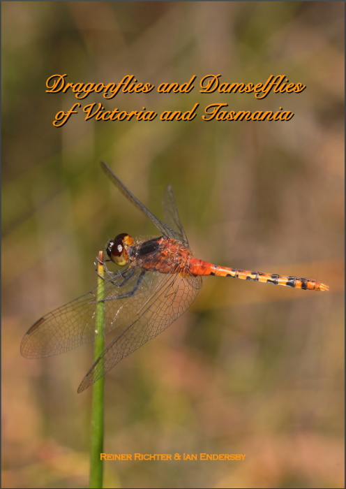 Richter, R.; Endersby, I. - Dragonflies and Damselflies of Victoria and Tasmania
