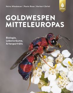 Wiesbauer, H.; Rosa, P.; Zettel, H. - Goldwespen Mitteleuropas: Biologie, Lebensrume, Artensteckbriefe