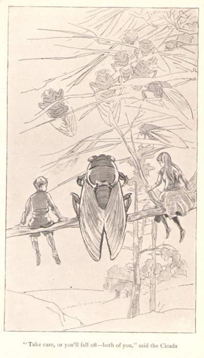 Selous, Edmund - Jack's Other Insects