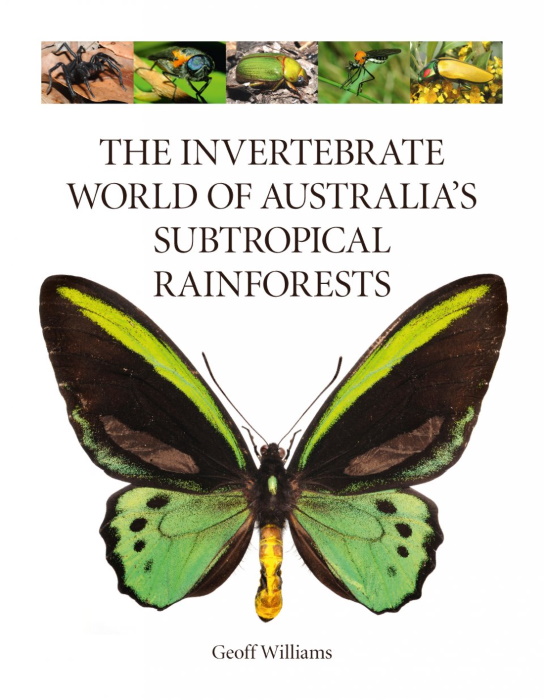 Williams, G. - The Invertebrate World of Australia's Subtropical Rainforests