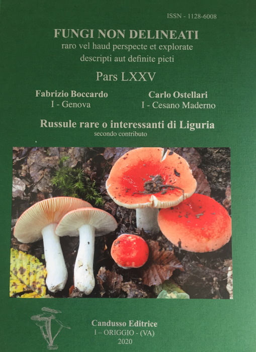 Boccardo, F.; Ostellari, C. - Fungi Non Delineati 75: Russule rari o interessante di Liguria - secondo contributo