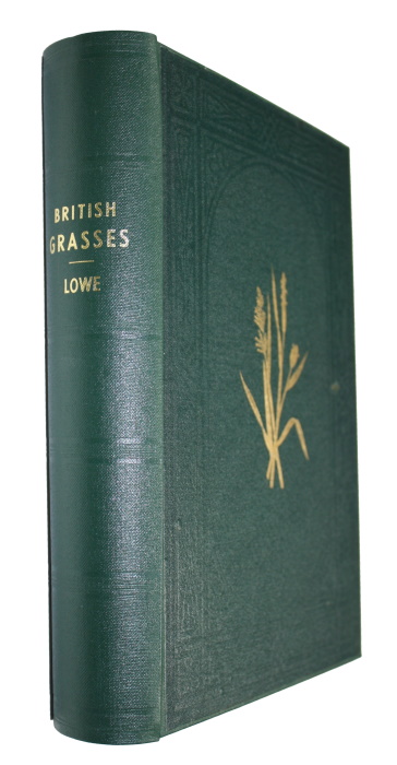 Lowe, E.J. - A Natural History of British Grasses