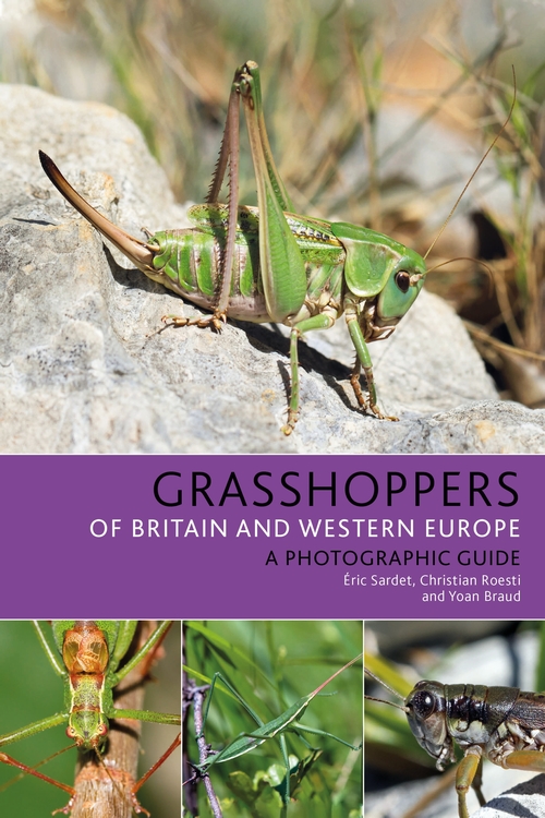 Sardet, E.; Roesti, C.; Braud, Y. - Grasshoppers of Britain and Western Europe: A Photographic Guide