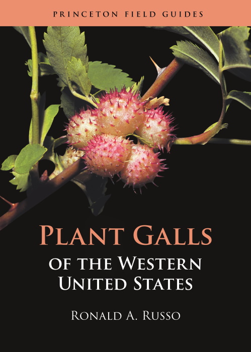 Russo, R.A. - Plant Galls of the Western United States