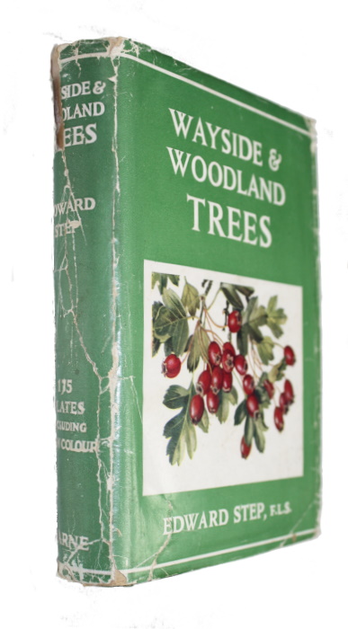 Step, E. - Wayside and Woodland Trees: A Guide to the British Sylva