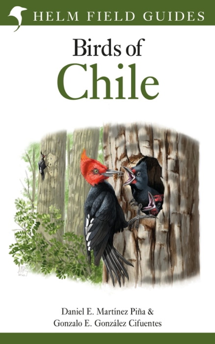 Martinez Pina, D.E.; Gonzalez Cifuentes, G.E. - Field Guide to the Birds of Chile