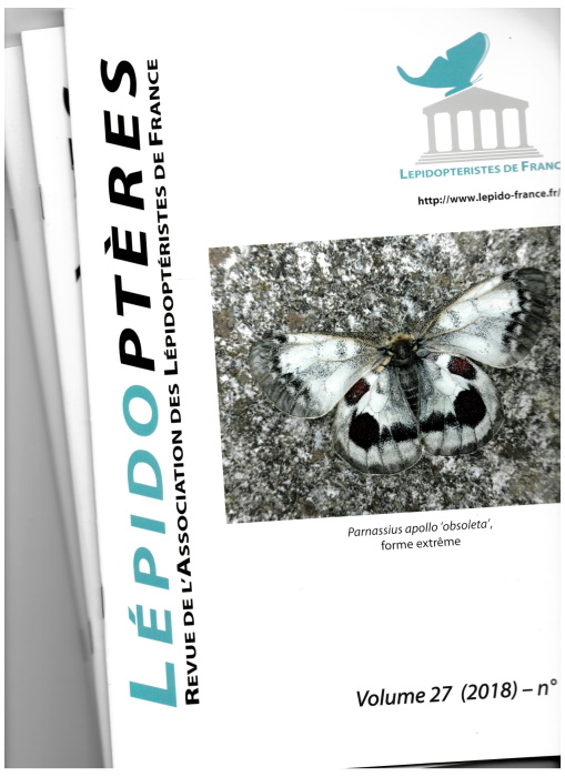 Boyer, P. - Introduction  la connaissance des Pronophilini (Lepidoptera : Nymphalidae, Satyrinae)