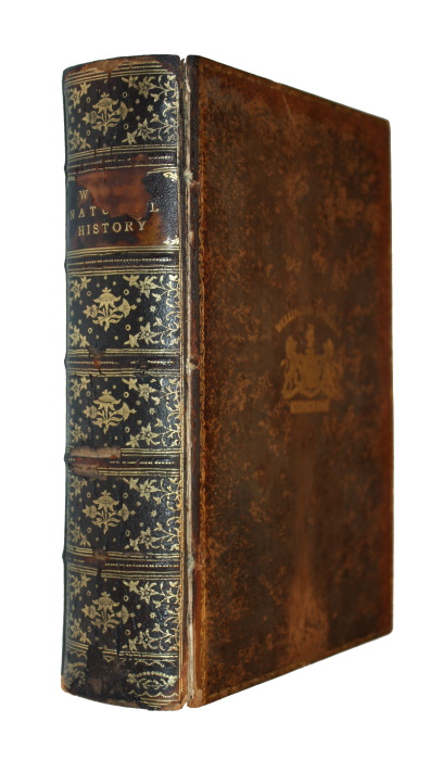 Wood, J.G. - The Popular Natural History