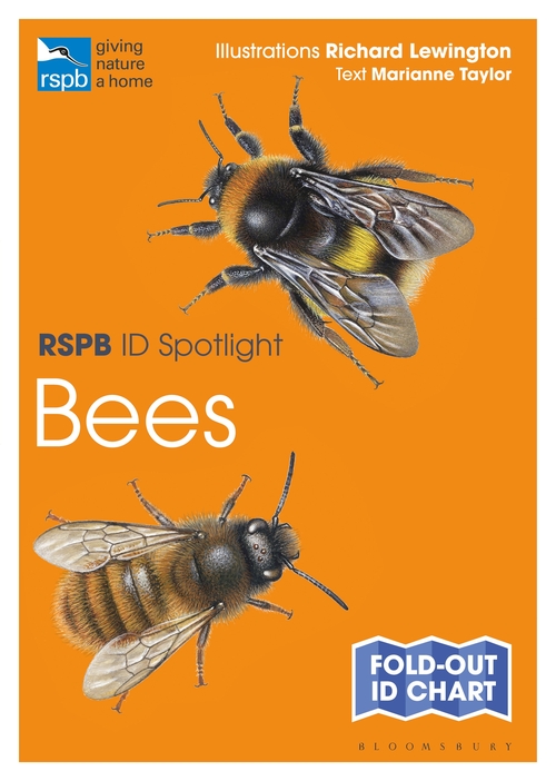 Taylor, M.; Lewington, R. - RSPB ID Spotlight - Bees
