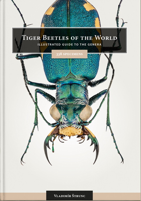 trunc, V. - Tiger Beetles of the World: Illustrated Guide to the Genera