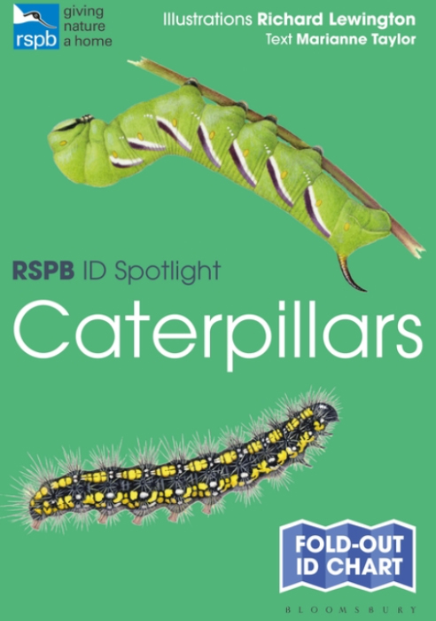 Taylor, M.; Lewington, R. - RSPB ID Spotlight - Caterpillars