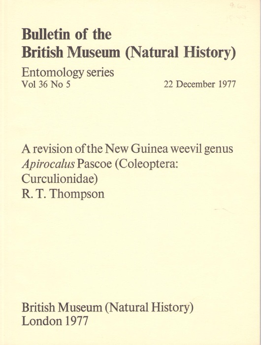 Thompson, R.T. - A Revision of the New Guinea Weevil Genus Apirocalus Pascoe (Coleoptera: Curculionidae)