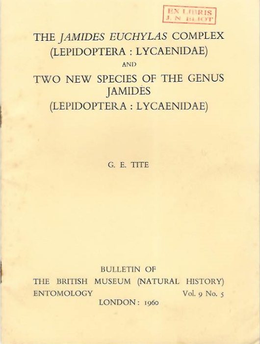 Tite, G.E. - The <i>Jamides euchylas</i> complex (Lepidoptera: Lycaenidae) and Two new species of the genus <i>Jamides</i> (Lepidoptera: Lycaenidae)