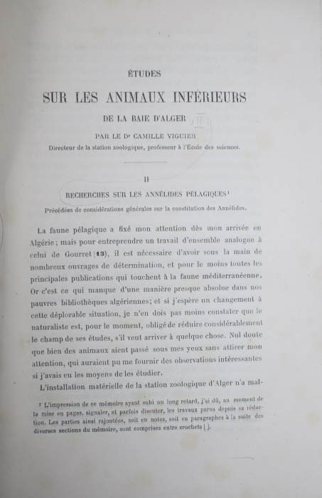 Viguier, C. - Etudes sur les Animaux Inferieurs de la Baie d'Alger