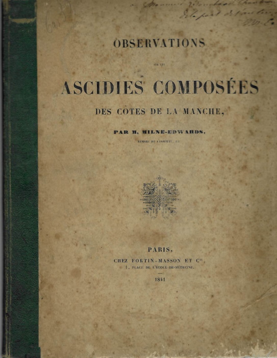Milne-Edwards, H. - Observations sur les ascidies composes des ctes de la Manche
