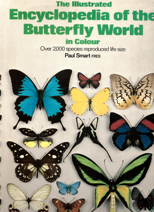 Smart, P. - The Illustrated Encyclopedia of the Butterfly World