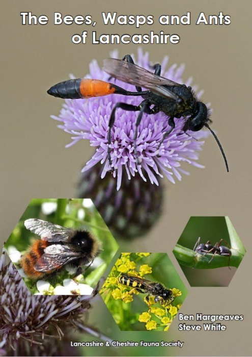 Hargreaves, B., White, S.J. (Eds) - The Bees, Wasps and the Ants of Lancashire