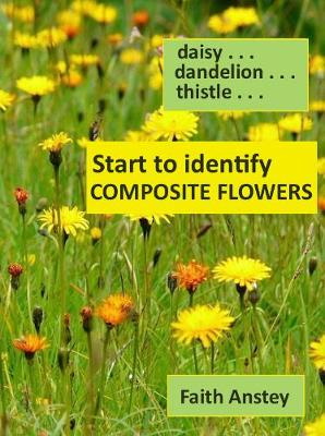Anstey, F. - Start to Identify Composite Flowers: Daisy, Dandelion, Thistle