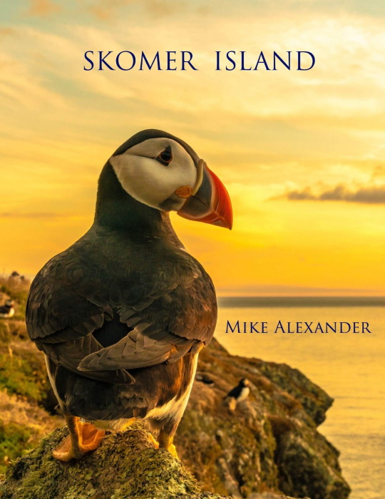 Alexander, M. - Skomer Island The history and natural history of an Island National Nature Reserve