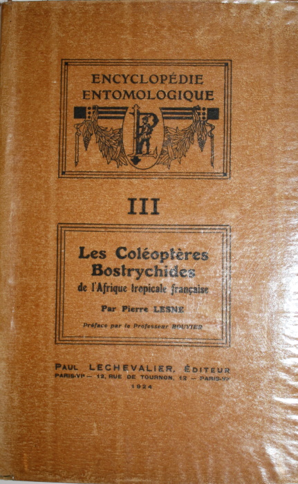 Lesne, P. - Les Coloptres Bostrychides de l'Afrique tropicale franaise