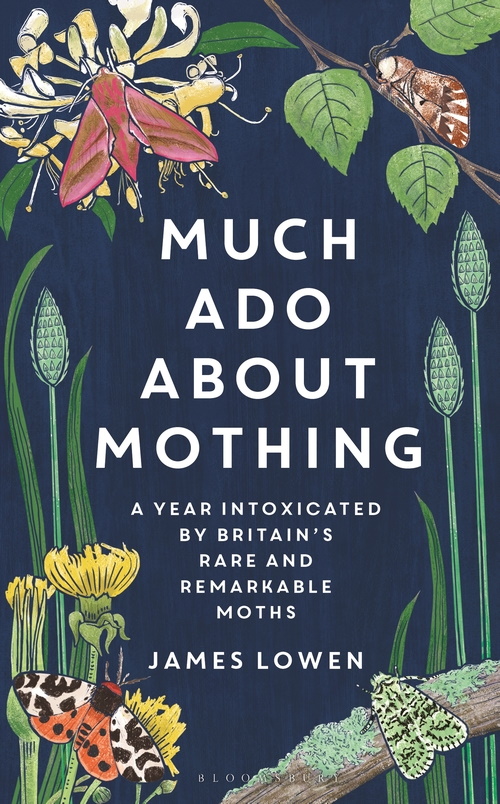 Lowen, J. - Much Ado About Mothing: A year intoxicated by Britains rare and remarkable moths