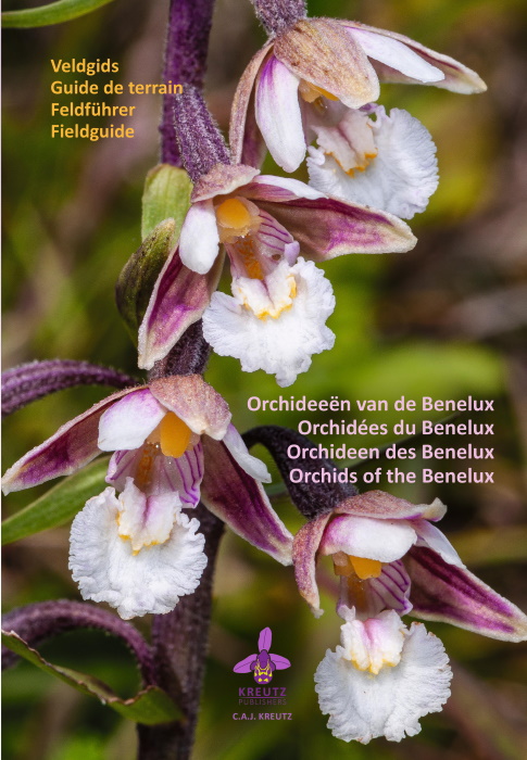 Kreutz, C.A.J. - Orchideen van de Benelux Veldgids / Orchids of Benelux Field Guide / Orchides du Benelux Guide de Terrain / Orchideen des Benelux Feldfhrer