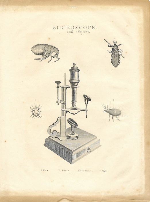  - Early Nineteenth Century Engraving entitled <i>Microscope and Objects</i>