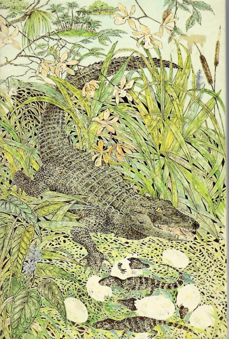 George, J.C. - Everglade Wildguide