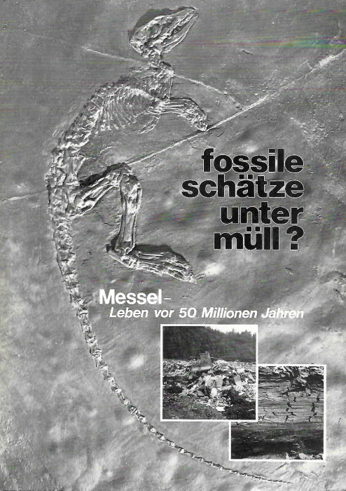 Feist, S.O. - Fossile Schtze Unter Mll? Messel - Leben Vor 50 Millionen Jahren