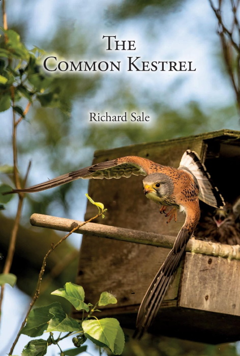 Sale, R. - The Common Kestrel