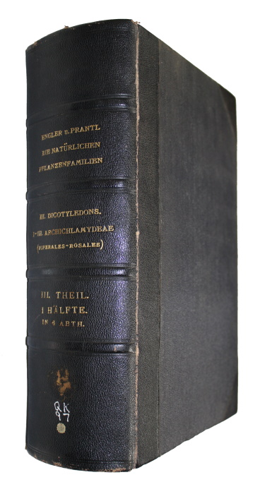 Engler, A.; Prantl, K. (Eds) - Die natrlichen Pflanzenfamilien nebst ihren Gattungen und wichtigeren Arten. III. Teil. Abt 1, 1a-b, 2, 2a, 3
