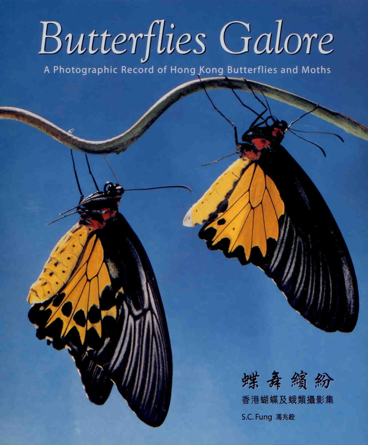 Fung, S.C. - Butterflies Galore: A Photographic Record of Hong Kong Butterflies and Moths