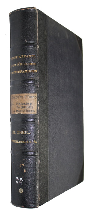 Engler, A.; Prantl, K. (Eds) - Die natrlichen Pflanzenfamilien nebst ihren Gattungen und wichtigeren Arten. III. Teil. Abt. 6 (Dicotyledoneae: Elaeocarpaceae, etc.) und 6a (Dicotyledoneae: Flacourtiaceae, etc.)
