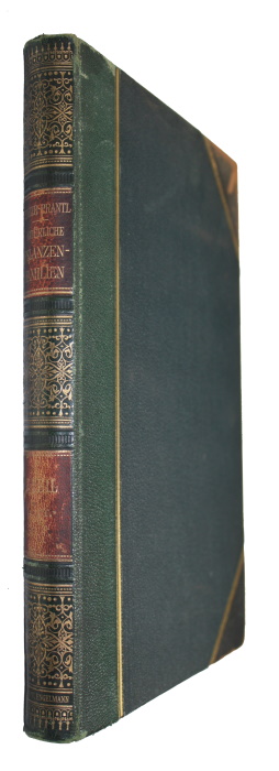 Engler, A.; Prantl, K. (Eds) - Die natrlichen Pflanzenfamilien nebst ihren Gattungen und wichtigeren Arten. I. Teil Abt. 1*: Euthallophyta (Abt. II): Eumycetes: Lichenes