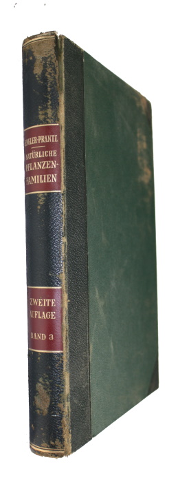 Engler, A.; Prantl, K. (Eds); Printz, H. - Die natrlichen Pflanzenfamilien nebst ihren Gattungen und wichtigeren Arten. Bd 3: Chlorophyceae (nebst Conjugatae, Heterocontae und Charophyta)