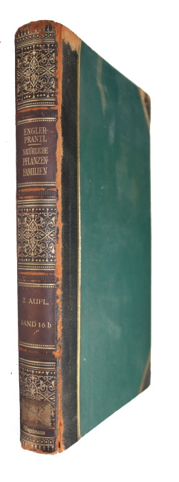 Engler, A.; Prantl, K. (Eds) - Die natrlichen Pflanzenfamilien nebst ihren Gattungen und wichtigeren Arten. Bd 16b: Angiospermae: Santalales, Aristolochiales, Balanophorales