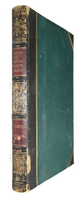 Engler, A.; Prantl, K. (Eds) - Die natrlichen Pflanzenfamilien nebst ihren Gattungen und wichtigeren Arten. Bd 19c. Angiospermae: Geraniales: Dichapetalineae, Tricoccae, Callitrichineae